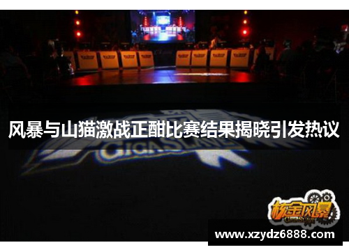 风暴与山猫激战正酣比赛结果揭晓引发热议